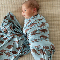 BROWN DINO | SWADDLE