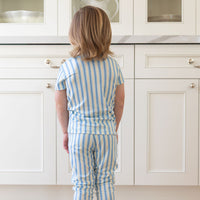 SPRING STRIPES | SHORT SLEEVE