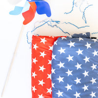 THE PATRIOT *LIMITED EDITION*