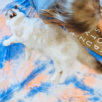 THE AUSTYN *LIMITED EDITION*