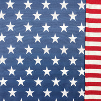 THE PATRIOT *LIMITED EDITION*