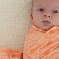 DESERT ICONS | SWADDLE