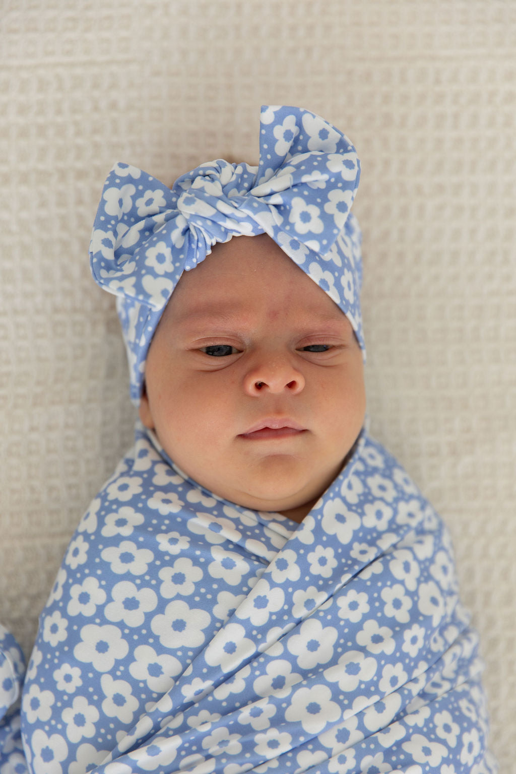DUSTY BLUE DAISIES | BOW