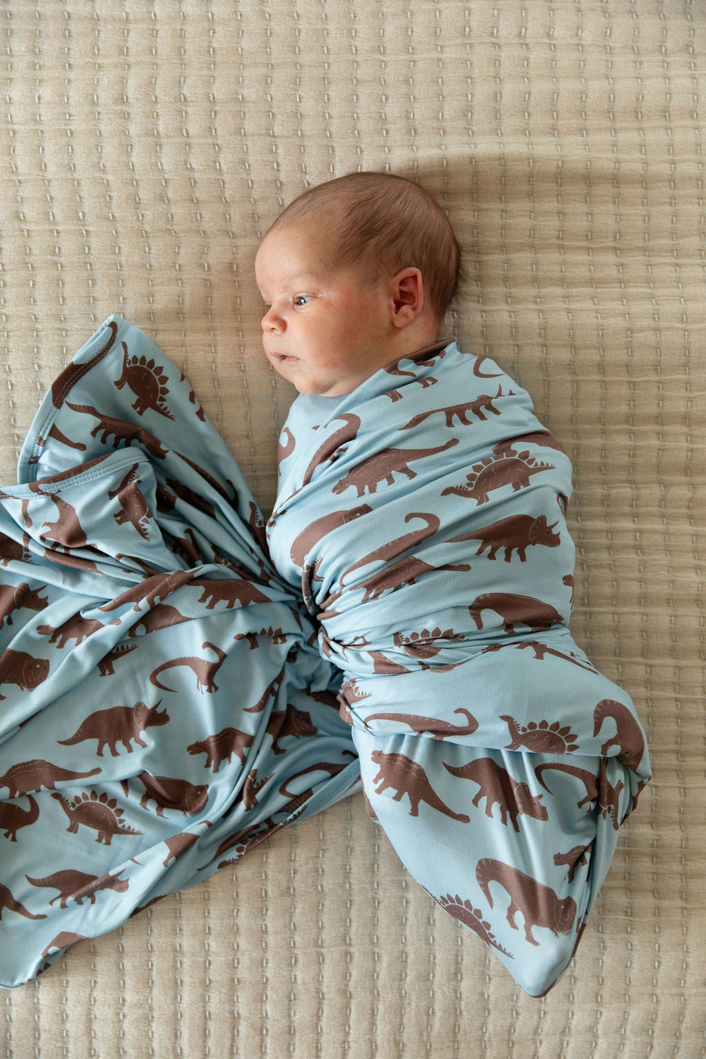 BROWN DINO | SWADDLE