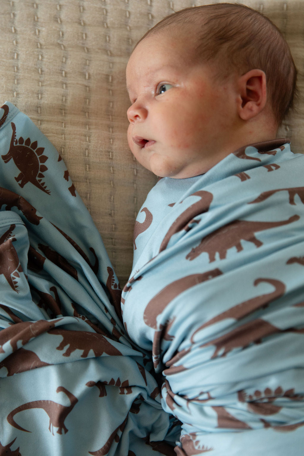 BROWN DINO | SWADDLE