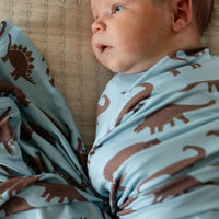 BROWN DINO | SWADDLE