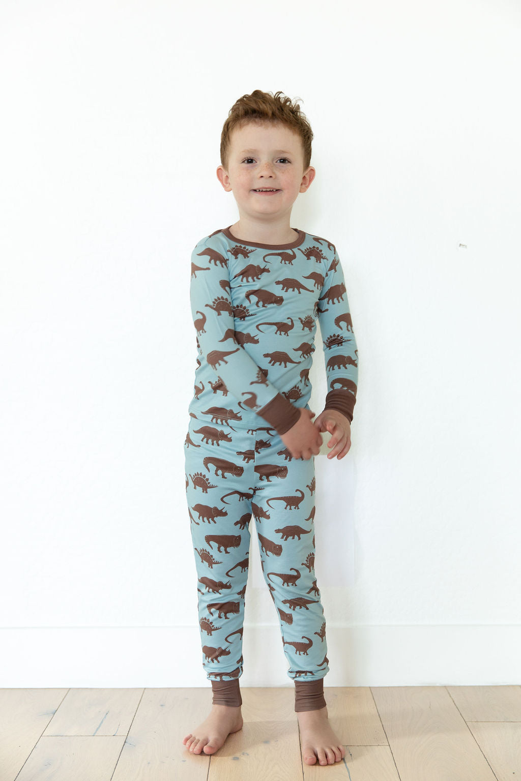 BROWN DINO | LONG SLEEVE