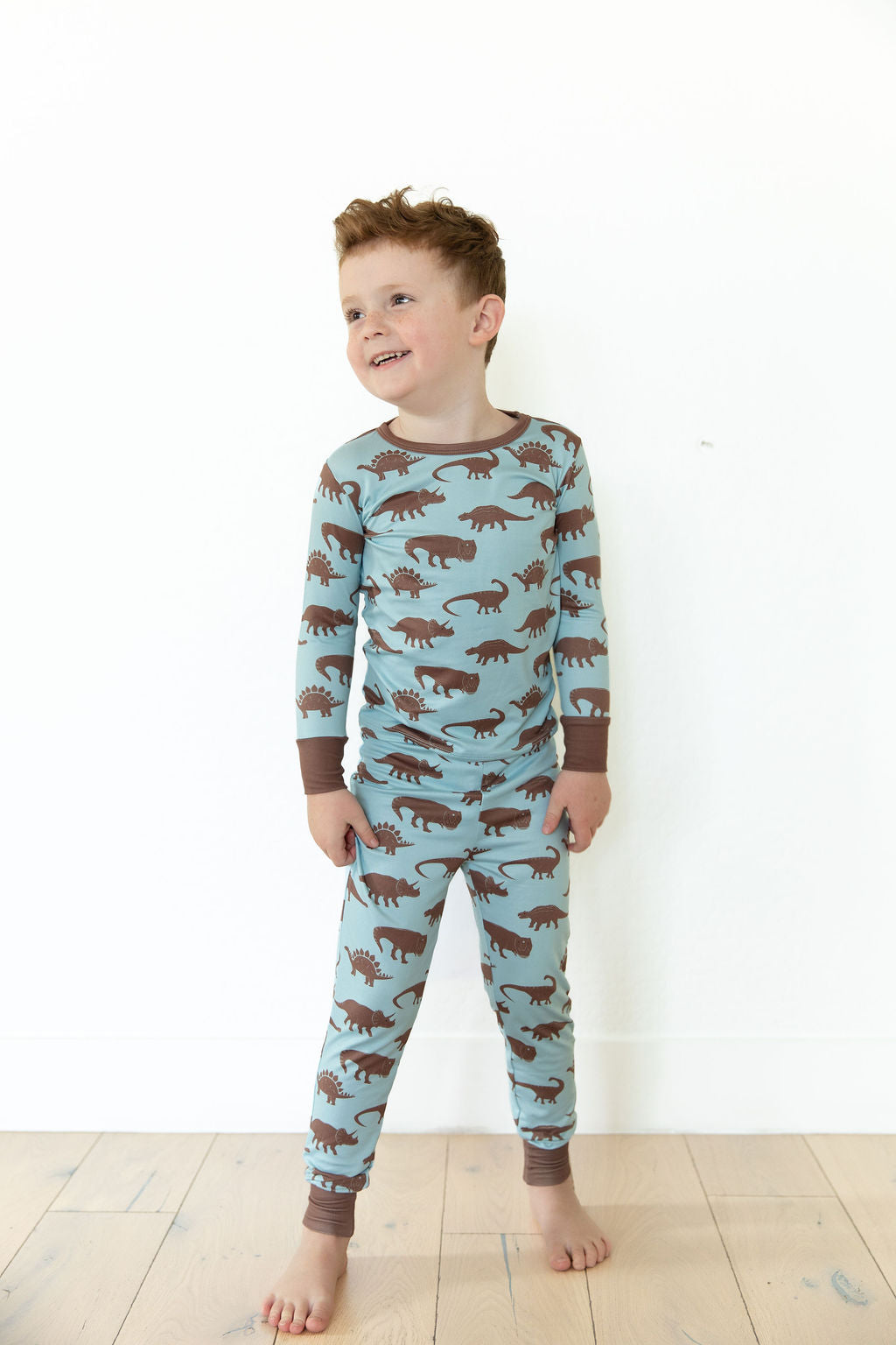 BROWN DINO | LONG SLEEVE