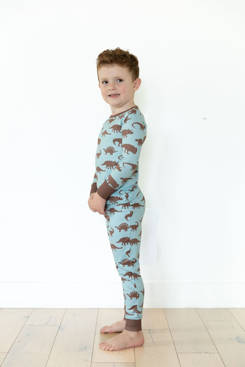 BROWN DINO | LONG SLEEVE