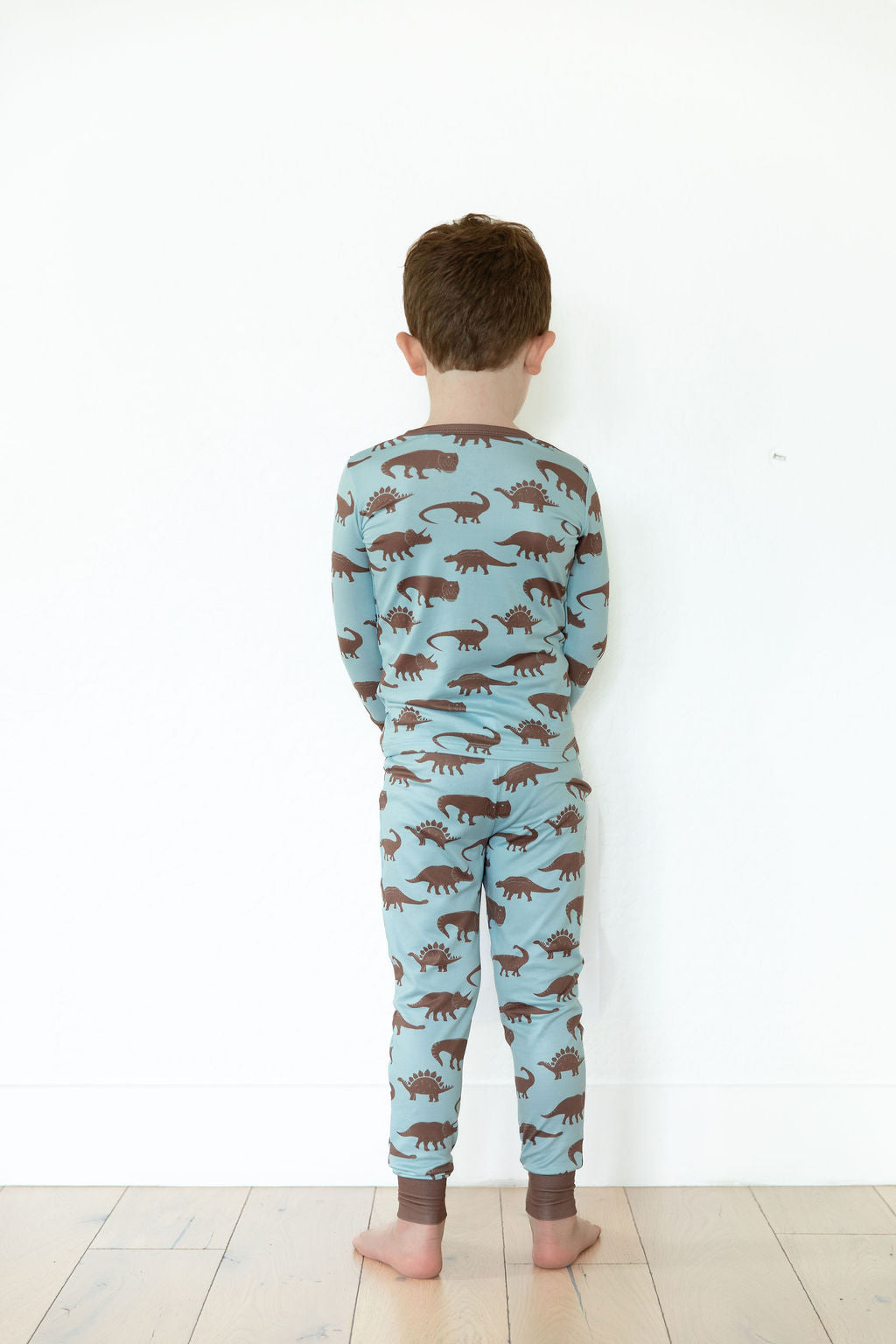 BROWN DINO | LONG SLEEVE