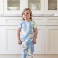 SPRING STRIPES | SHORT SLEEVE